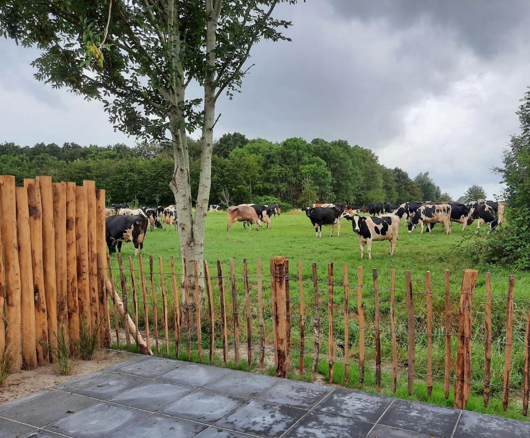 Guesthouse Scherp Middelburg Eksteriør bilde